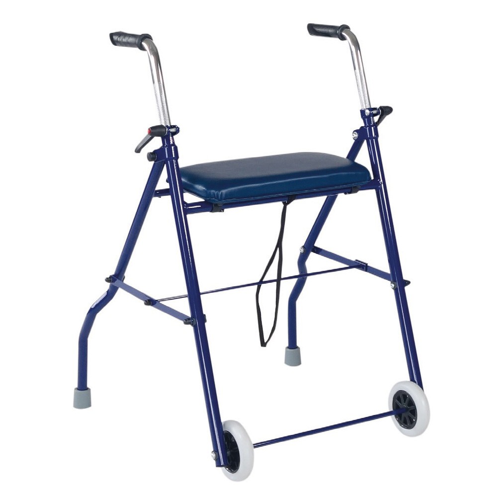 Imagen de Ayudas Dinámicas Andador 2 Ruedas con Asiento AD250 Azul